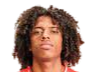 https://img.eccowiki.com/img/football/player/135ad8787fd13961a93e165e79e736ff.png