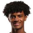 https://img.eccowiki.com/img/football/player/1727cd0635c379baa2a33646365338a4.png